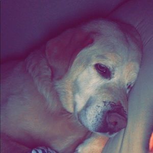 Meet your Posher, Katelynn